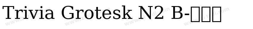 Trivia Grotesk N2 B字体转换